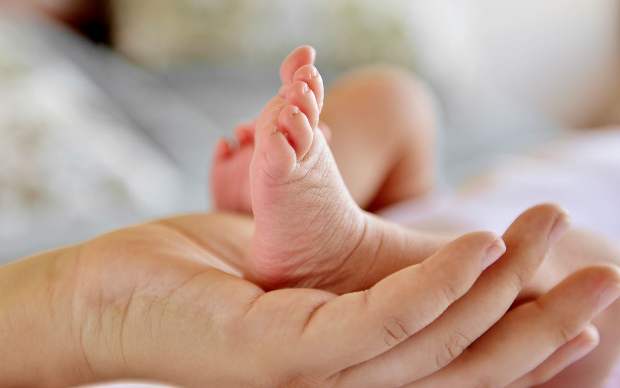 malformazione non diagnosticata risarcimento danni