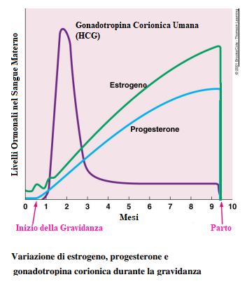 progesterone in gravidanza e responsabilità dei medici