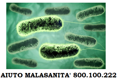 Infezione da Pseudomonas aeruginosa